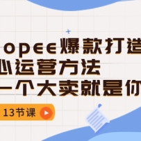 Shopee������������Ӫ��������һ�����������㣨13�ڿΣ�