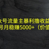 ���ں�����������ߣ������Ŀ�����˵�������׬5000+����ֵ480Ԫ��
