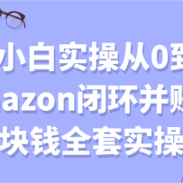 ����С��ʵ�ٴ�0��1��ͨamazon�ջ���׬��һ��Ǯȫ��ʵ��