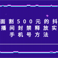 �����500Ԫ�Ķ���ֱ�������ͷ�ʵ��/�ֻ��ŷ�����
