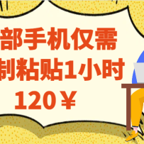 һ���ֻ����踴��ճ��1Сʱ120��
