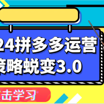 2024ƴ�����Ӫ�����ɱ�3.0-����ƴ�����֪���ƶ���Ӫ���ԡ�ʵ��ӯ���ո��