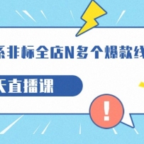 ����-��ϵ-�Ǳ�ȫ��N����������ϿΣ�5��ֱ���Σ�19�ڣ�