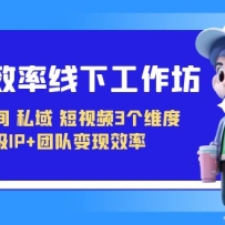 ����-Ч�����¹���������ֱ���䡢˽�򡢶���Ƶ3��ά�� ����IP+�Ŷӱ���Ч��