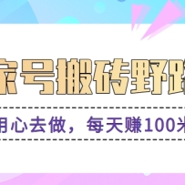 �ټҺŰ�שҰ·���淨������ȥ����ÿ��׬100�׻���������ס����������̡�
