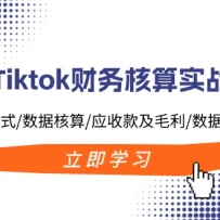Tiktok�������ʵսӪ��TKҵ��ģʽ/���ݺ���/Ӧ�տë��/�������ؼ�����