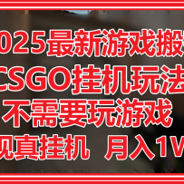 2025������Ϸ��ש��CSGO�һ�������Ҫ����Ϸ��ʵ����һ�������1W+