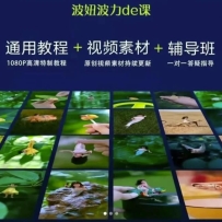 ��椲�������Ƶͨ�ý̳�+��Ƶ�ز�+������