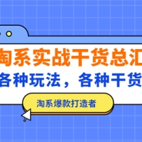 ��ϵʵս�ɻ��ܻ㣺�����淨�����ָɻ�����ϵ���������