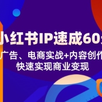 С����IP�ٳ�60�죺��桢����ʵս+���ݴ���������ʵ����ҵ����
