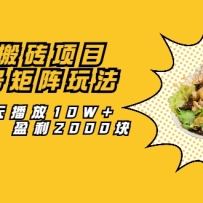 ������ש��Ŀ��̽��ž����淨�����ÿ�첥��10W+��100�� ӯ��2000��