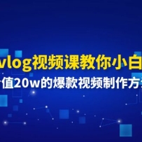 0����vlog��Ƶ�ν���С�ױ���񣺼�ֵ20w�ı�����Ƶ��������