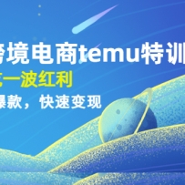 ƴ���羳����temu��ѵӪ������ֳ�һ����������0��1���챬����ٱ���