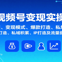 ��Ƶ�ű���ʵ�٣�����ͨ���衢����ģʽ��������졢˽����ۡ�IP���켰����