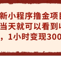 ����С����ߣ����Ŀ������Ϳ��Կ������棬1Сʱ����300+