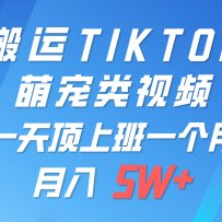 һ������TIKTOK�ȳ�����Ƶ��һ���ֻ����ɲ���������ƽ̨���ɷ��� ��������5