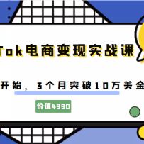 TIkTok���̱���ʵս�Σ����㿪ʼ��3����ͻ��10���������루��ֵ4980Ԫ��