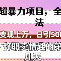 ��������Ŀ��ȫ���淨����ְ����Ȥ�ĵڼ��죩�����������������500+��