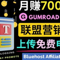 ͨ��������Ʒ����ƽ̨Gumroad��������ѵ����� ���ƹ��Լ�������Ӫ����׬Ǯ