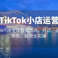 TikTokС����Ӫ ��ռTikTokȫ�������г������ꡢ��Ӫ��������Ͷ��ȫʵ��