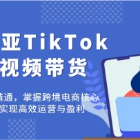 ������TikTok����Ƶ���������������ͨ�����տ羳���̺��ļ��ܣ�ʵ�ָ�Ч��