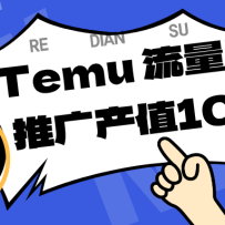 רע��Temu���̼��ṩ��׼�ع��������������������������ת��������������