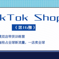 TikTok Shop ����+�羳˫�����ѵ��Ӫ��������ռȫ����������һ����ȫ��