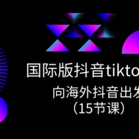 ���ʰ涶��tiktokʵս�γ̣����ⶶ��������15�ڿΣ�