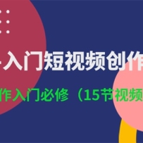 3Сʱ���Ŷ���Ƶ����������Ƶ�������ű��ޣ�15����Ƶ�Σ�