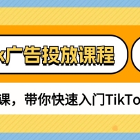 TikTok���Ͷ�ſγ̣���0-1ʵս�Σ������������TikTok���Ͷ�ţ�30�ڿΣ�