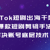 TikTok�̾����������-����̾�����ַ�������˺ŵײ㼼����